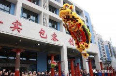 醒狮贺岁，星空网页版登录页面入口-星空online(中国)2019年开工大吉